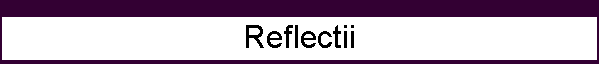 Reflectii