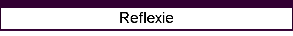Reflexie