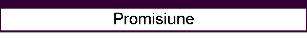 Promisiune